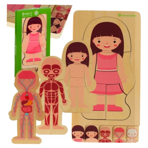 Puzzle drewniane warstwowe budowa ciała montessori dziewczynka