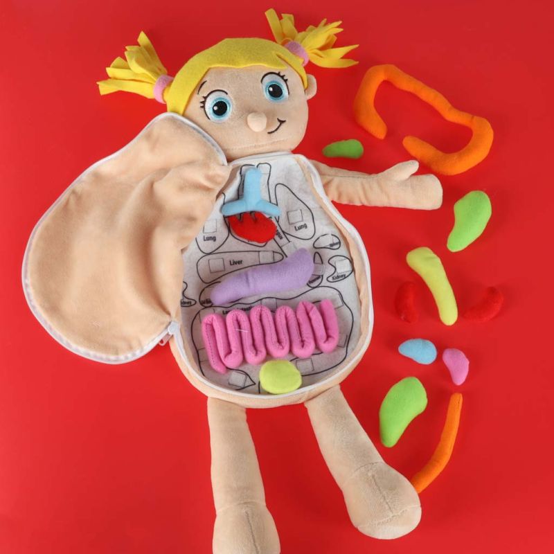 Lalka maskotka nauka anatomii dziewczynka - obrazek 8
