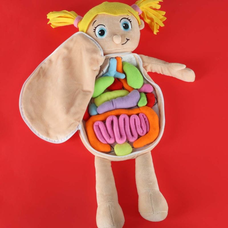 Lalka maskotka nauka anatomii dziewczynka - obrazek 9