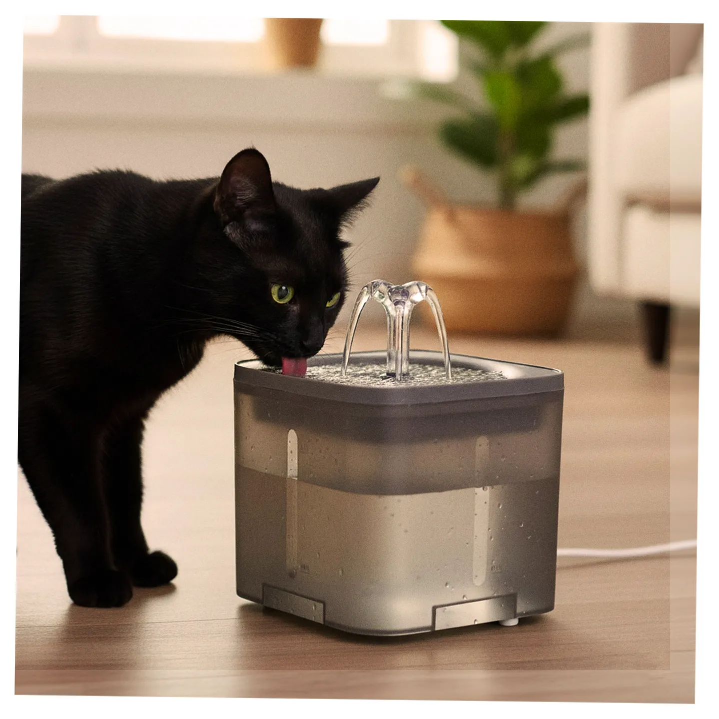 Poidełko fontanna dla psa kota zwierząt automatyczne poidło USB 2l filtr czyszczący - obrazek 15