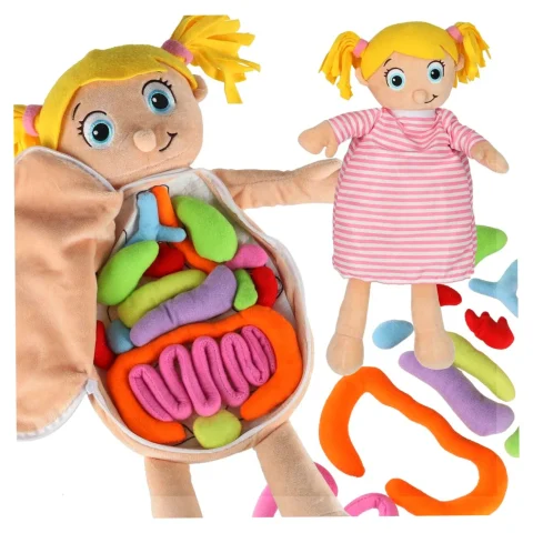 Lalka maskotka nauka anatomii dziewczynka