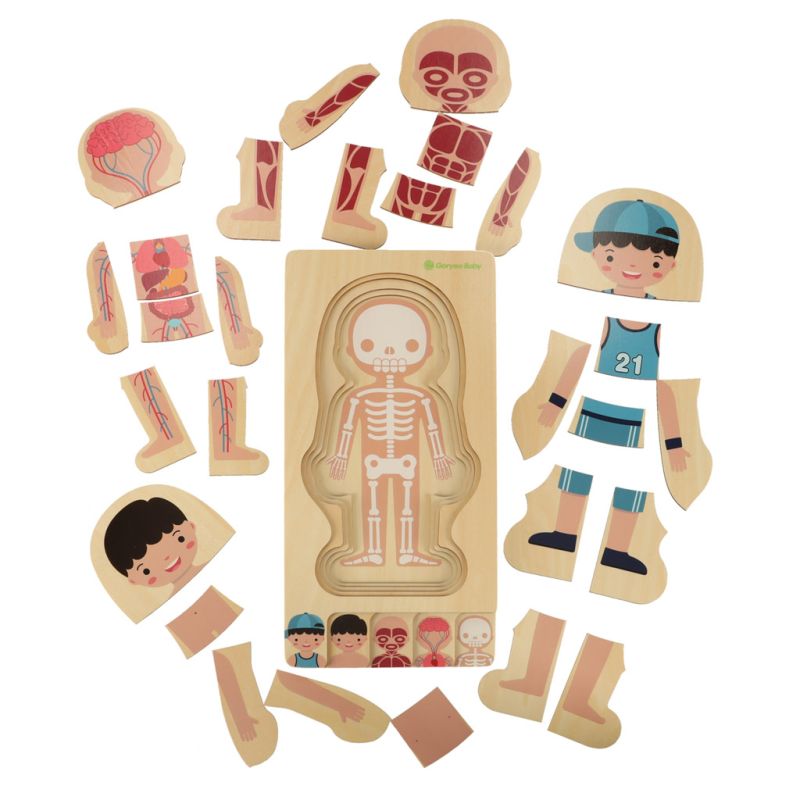 Puzzle drewniane warstwowe budowa ciała montessori chłopiec - obrazek 4