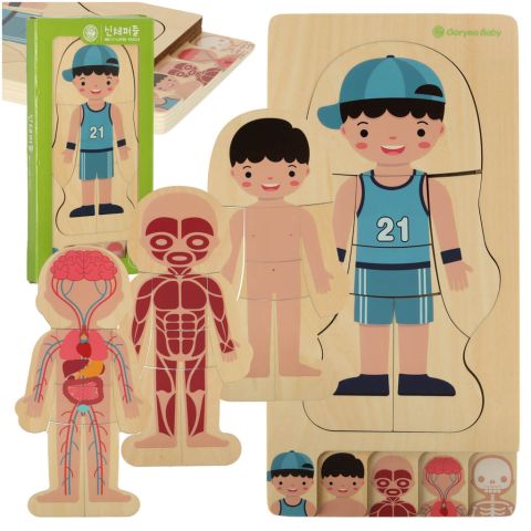 Puzzle drewniane warstwowe budowa ciała montessori chłopiec