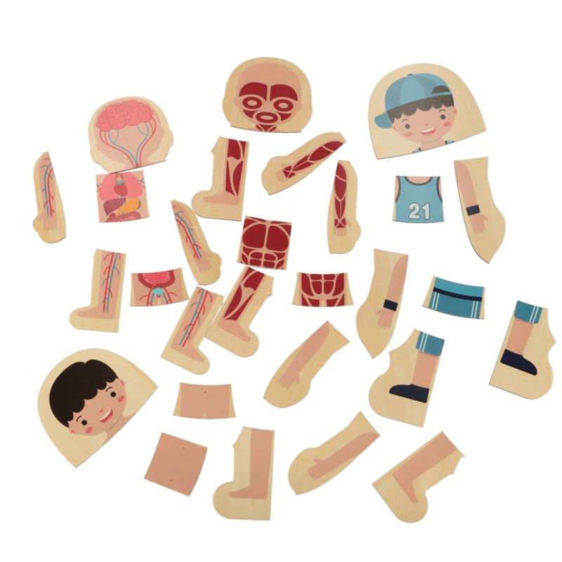 Puzzle drewniane warstwowe budowa ciała montessori chłopiec - obrazek 6