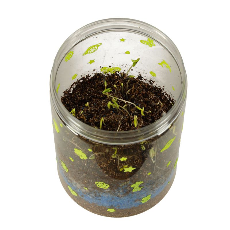 Hodowla dinozaurów terrarium projektor z lampką nocną LED - obrazek 10