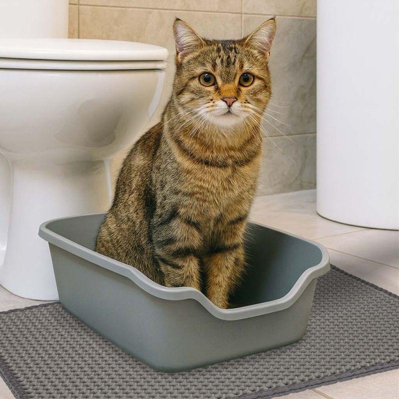 Mata pod kuwetę dla kota wodoodporna dwuwarstwowa 40x60cm XXL - obrazek 9