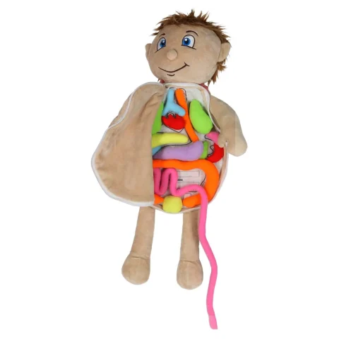 Lalka maskotka nauka anatomii chłopiec