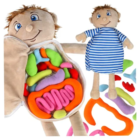 Lalka maskotka nauka anatomii chłopiec