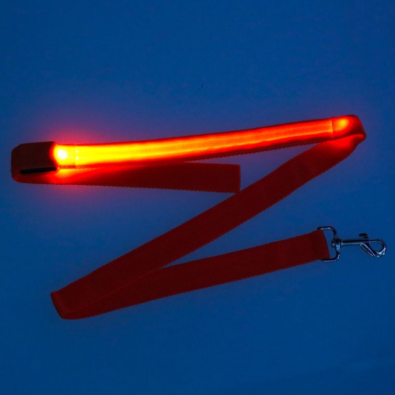 Smycz dla psa kota świecąca spacer jesień zima noc LED 1,2 m pomarańczowa - obrazek 8