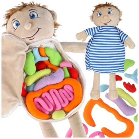 Lalka maskotka zabawka edukacyjna nauka anatomii chłopiec
