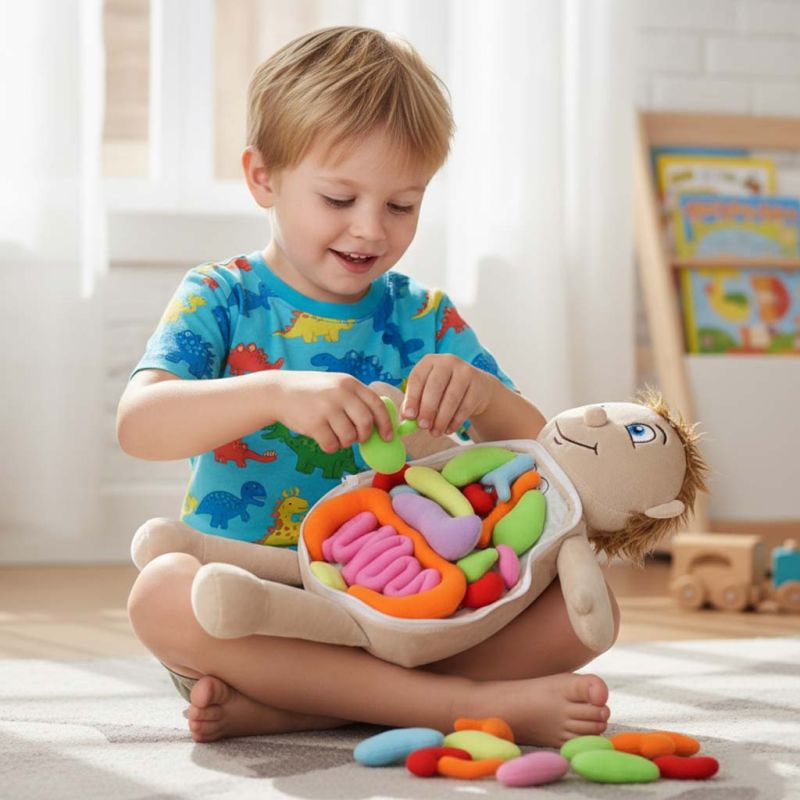 Lalka maskotka nauka anatomii chłopiec - obrazek 12