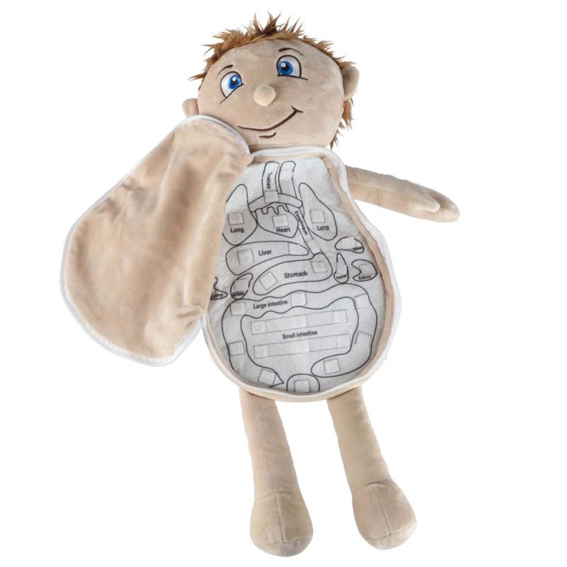 Lalka maskotka nauka anatomii chłopiec - obrazek 6