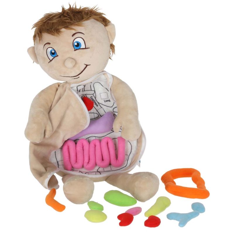 Lalka maskotka nauka anatomii chłopiec - obrazek 8