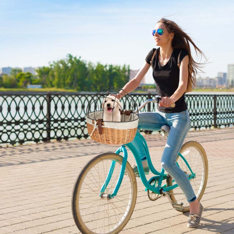 Koszyk wiklinowy na rower z kratką metalową transporter dla kota psa - obrazek 9