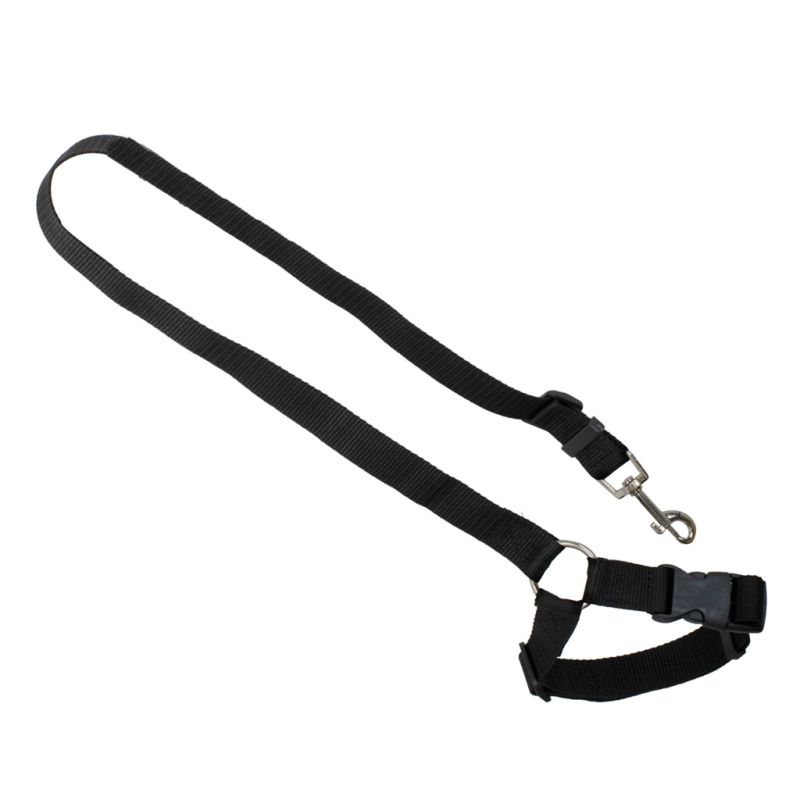 Smycz dla psa kota pas bezpieczeństwa do auta samochodu na zagłówek bezpieczny mocny - obrazek 2