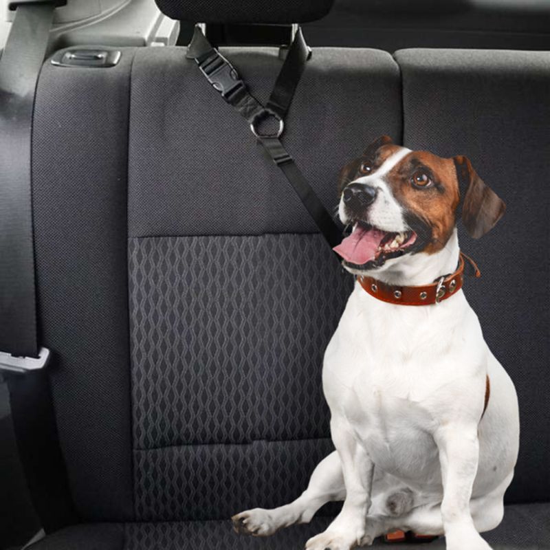 Smycz dla psa kota pas bezpieczeństwa do auta samochodu na zagłówek bezpieczny mocny - obrazek 4