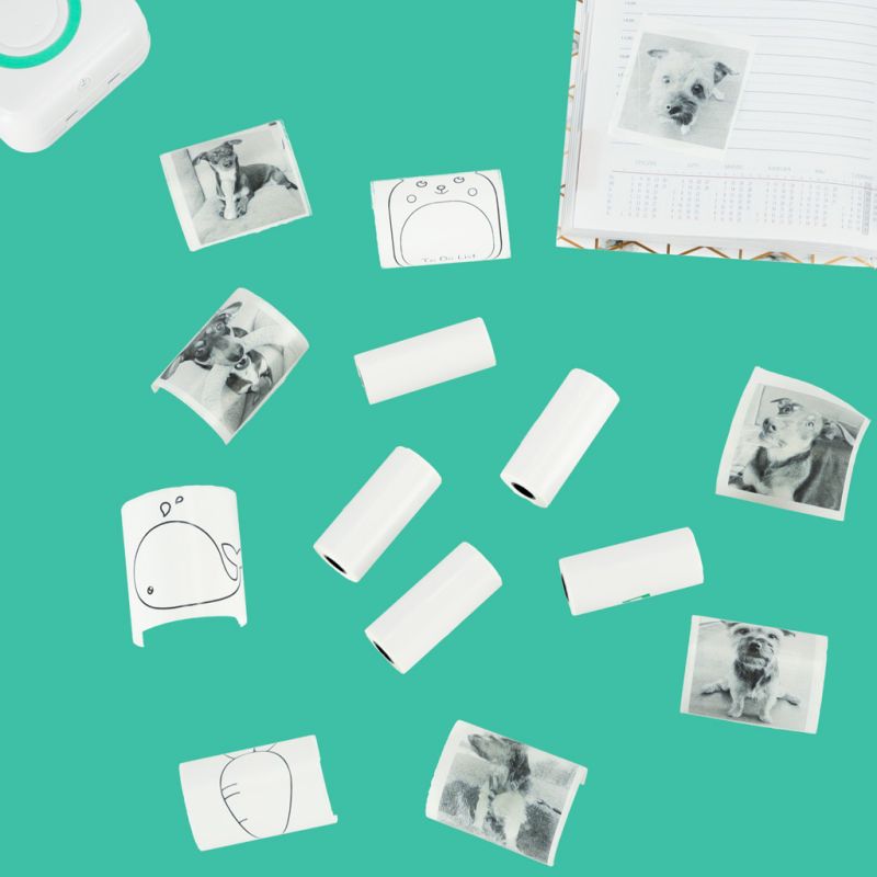 Rolki papier wkład samoprzylepny termiczny do mini drukarki 5,7cmx4,5m 5 sztuk - obrazek 6